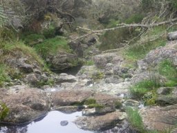 Visite de la petite cousine !